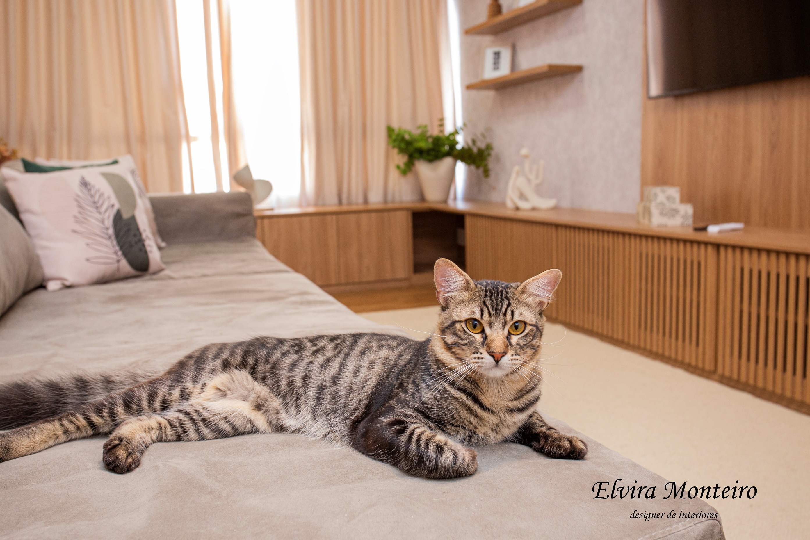 Projeto Lorena Elvira Monteiro (6).jpg